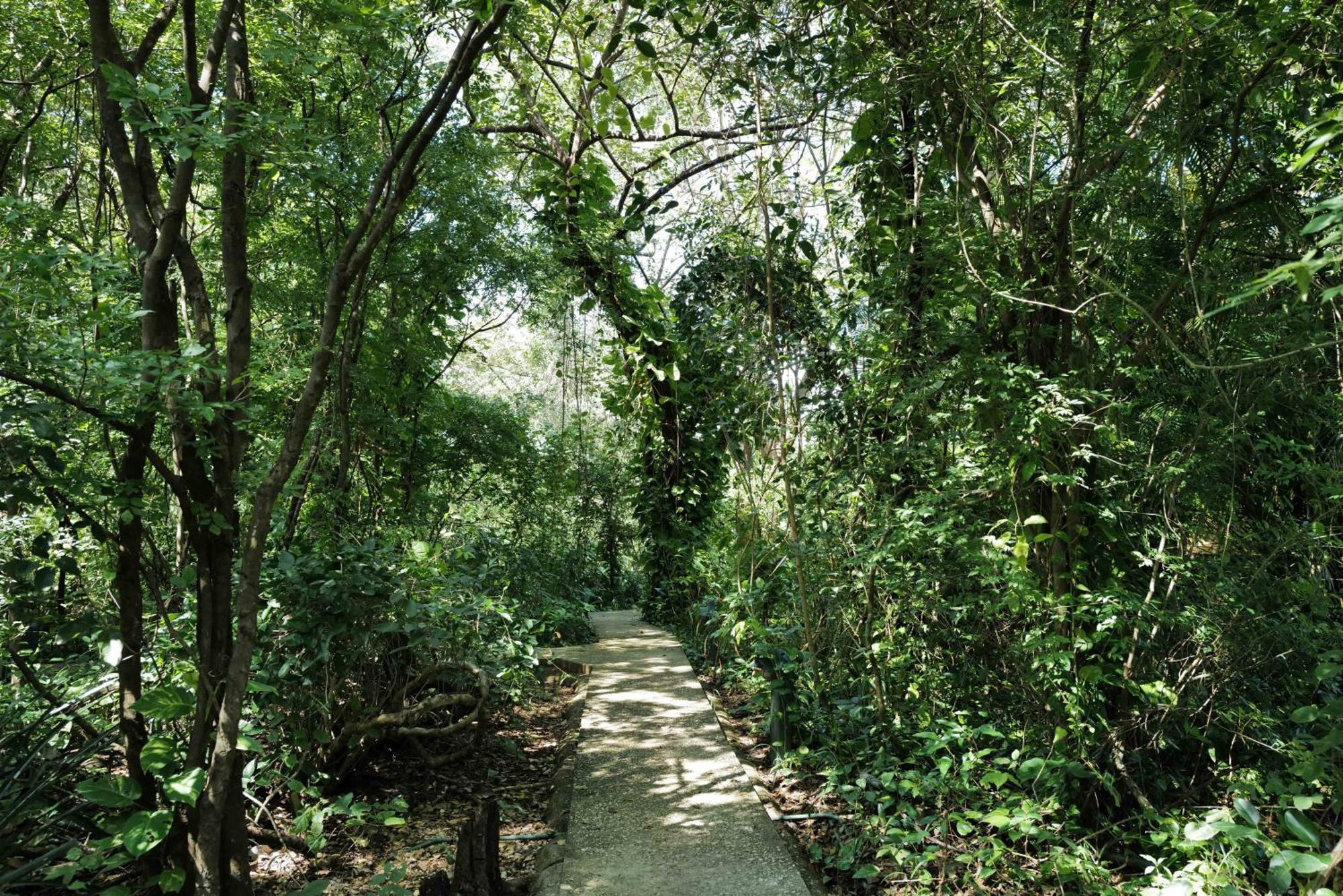 Mundo Milo Eco Lodge Paraiso  Bagian luar foto